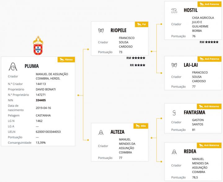 Genealogie de Pluma MAC, jument lusitanienne arrivée à lélevage do rima tout droit de chez Coimbra