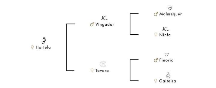 Pedigree chart