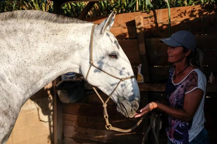 Moment de tendresse pendant les soins d'Hortela, jument poulinière, Elevage Do Rima