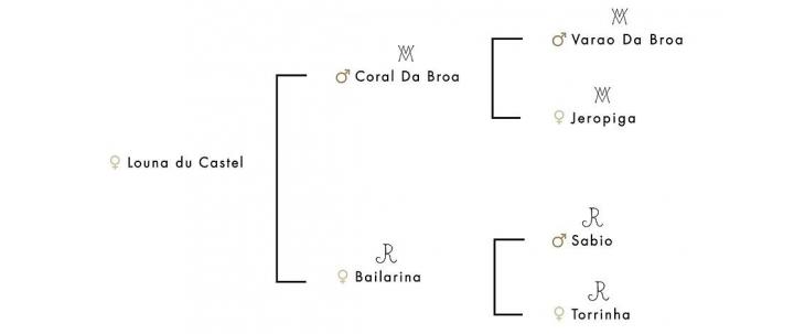 Pedigree chart Louna