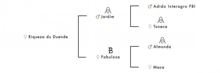 Généalogie Riquera