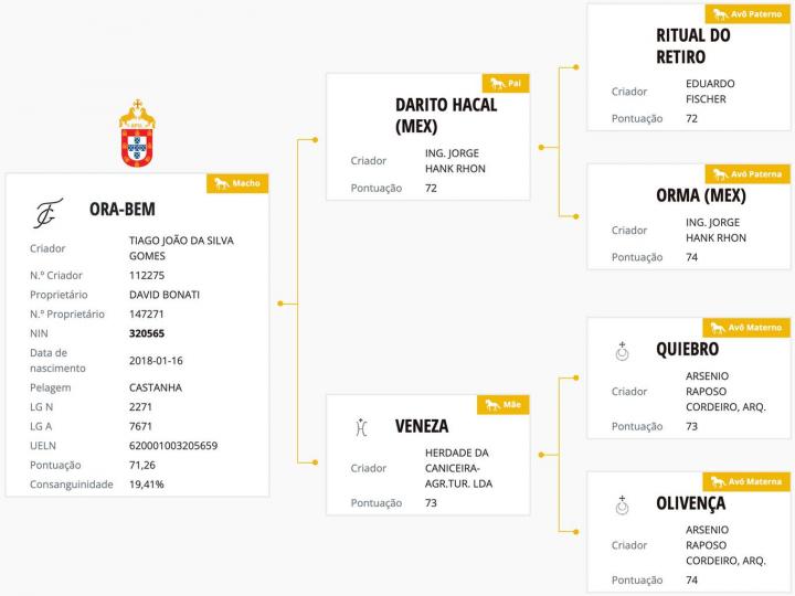 Genealogie _ Ponctuation - Ora Bem