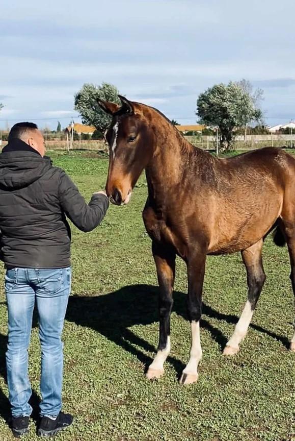 La première rencontre, au Portugual. Un réel coup de coeur !