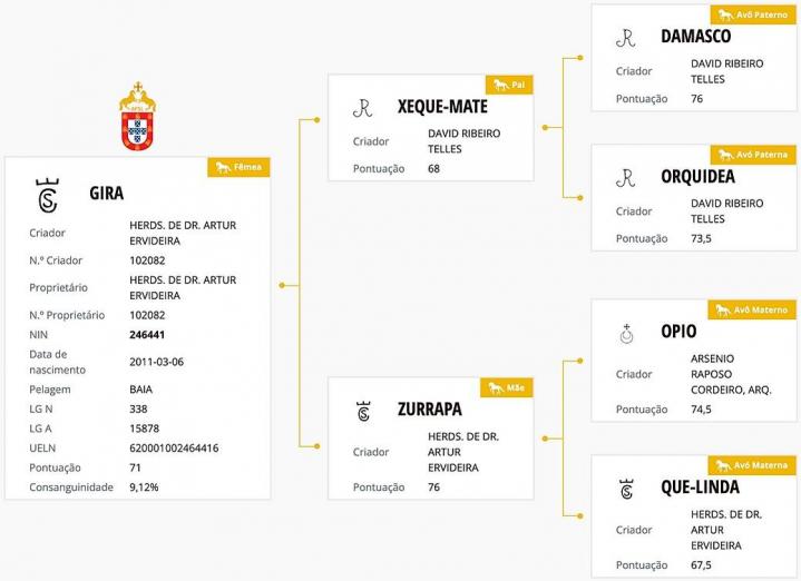 Genealogie / Ponctuation - Gira