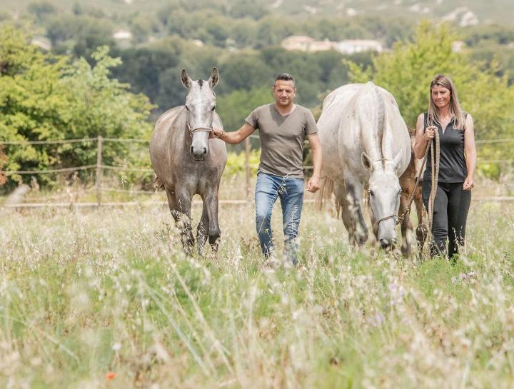 Vente chevaux lusitaniens La Fare-les-Oliviers