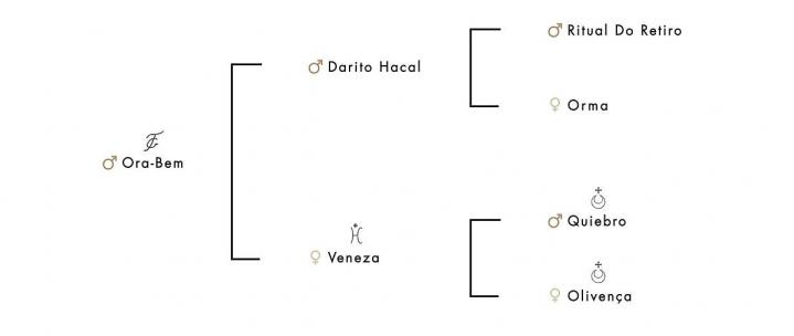 Pedigree chart ora-bem